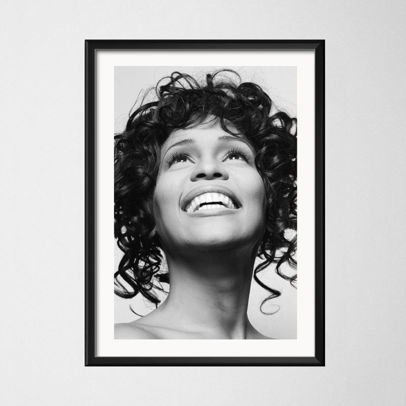 Poster And Prints Whitney Hous - огляд і ціна Home Decor Houston