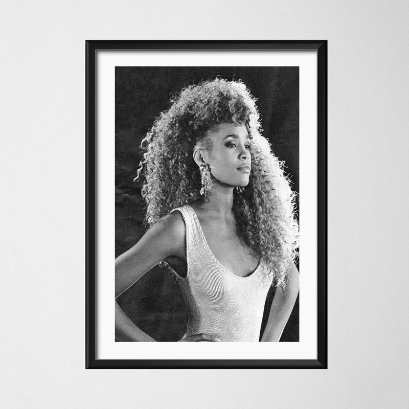 Poster And Prints Whitney Hous - огляд і ціна Home Decor Houston