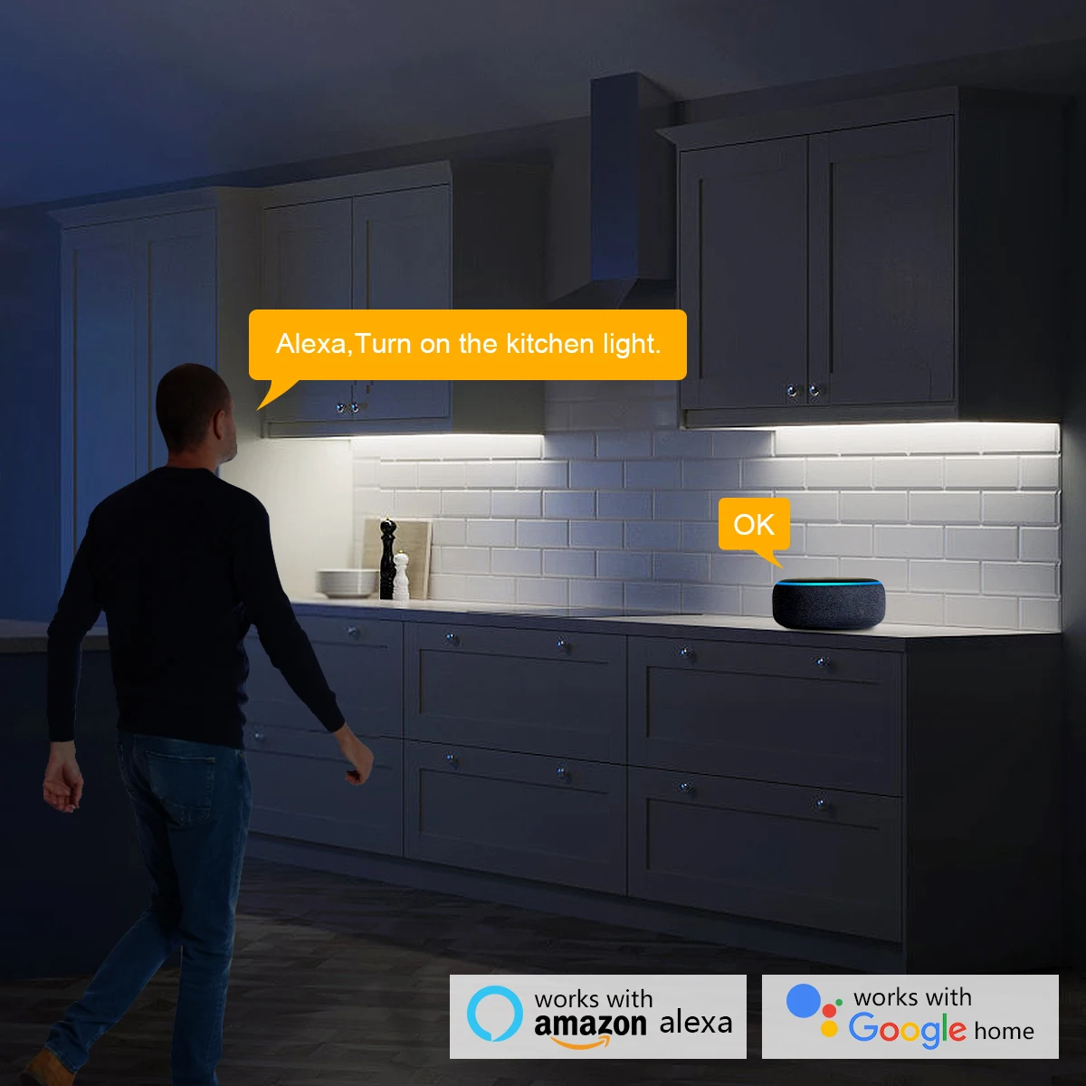 Smart Home Zigbee Tuya Voice C - огляд і ціна Home Decor Free App