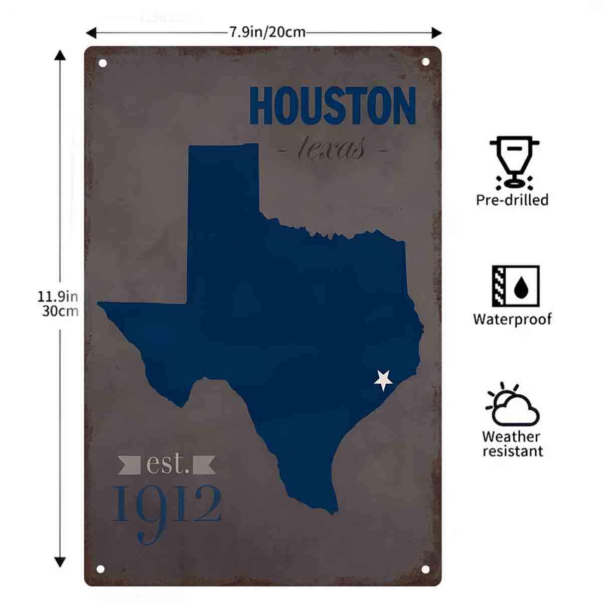 2D FLAT 1pc Houston Texas Blue - огляд і ціна Home Decor Houston