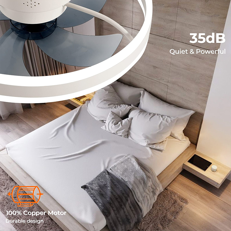 LED Ceiling Light Fan With APP - огляд і ціна Home Decor Free App